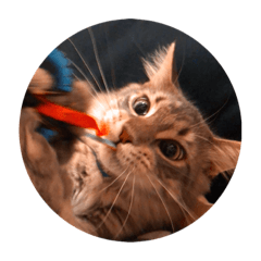 Nozomi_20220212135557