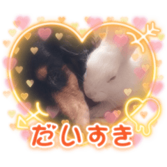 RINA_20220212141707