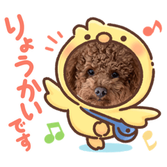 Yuka_20220212144552