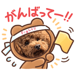 Yuka_20220212143915