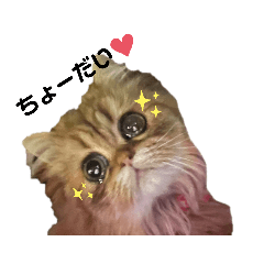 unisutanpu