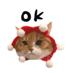 Cat Shangtung Stickers