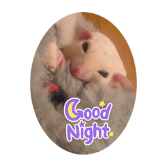 yukari_20220212134332