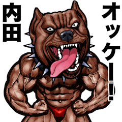 Uchida dedicated Muscle macho animal