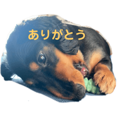 kaito_20220212161606