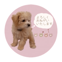 Hello_20220212162911
