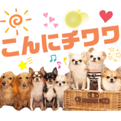めーちゃん様❤ダックス メモスタンド♡ 89b21c5f84ddbfb558e18e61ce7fd9