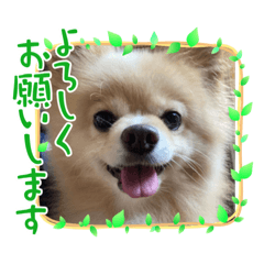 miki_20220212165239