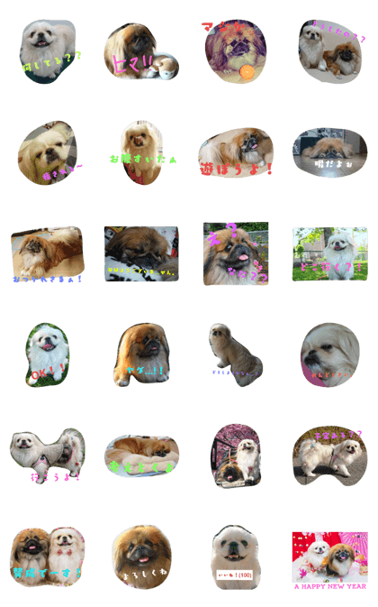 dorawata family
