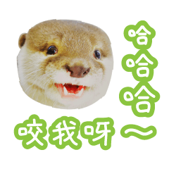 chiro is an otter (chinese ver.)