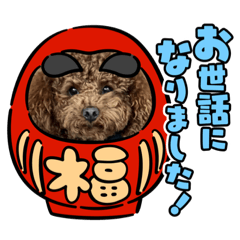 Yuka_20220212151846