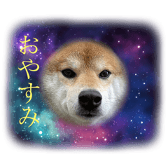 suzu_20220212154253