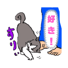 hikaru_20220213110310