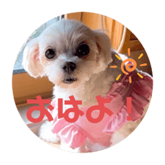 JUNKO_20220213105308