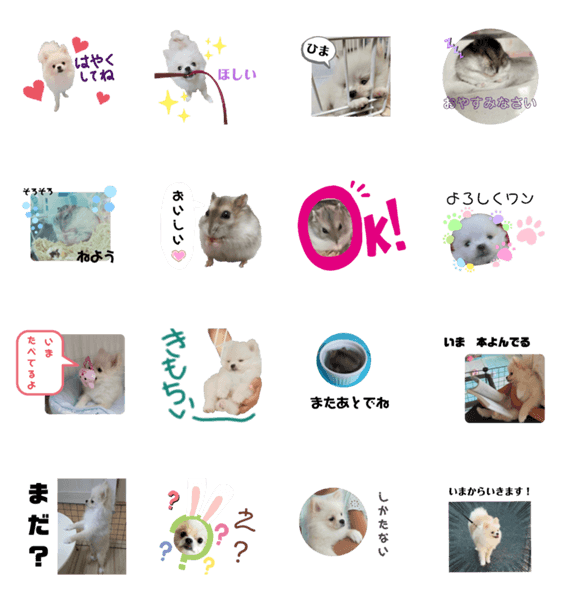 犬とハムスターの可愛い癒しの日常スタンプ Lineクリエイターズスタンプ Stamplist 犬とハムスターの可愛い癒しの日常スタンプ Lineクリエイターズスタンプ Stamplist