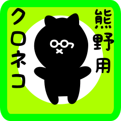 black cat sticker for kumano