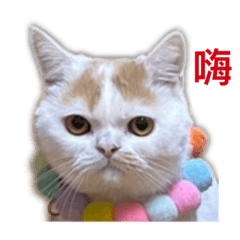 是發福