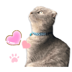 Ryuki_20220213022043