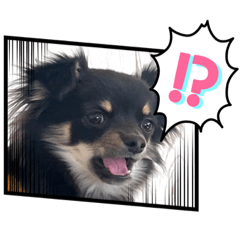 michiko_20220212185238