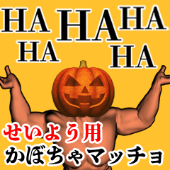 Seiyou Pumpkin macho