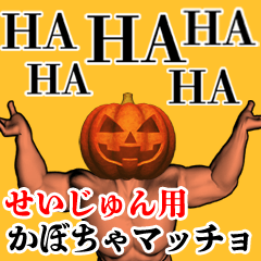 Seijun Pumpkin macho