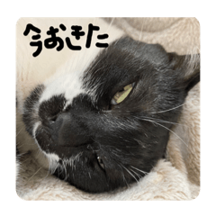 Miki_20220212221027