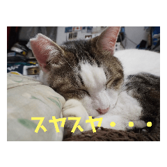 ak_20220212224546