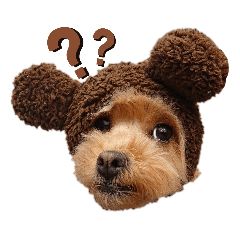 yuina_20220212214855