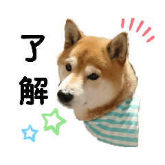 hana_20220213120922