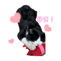 chie_20220213122337