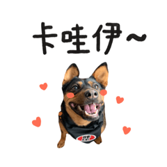林小胖日常2