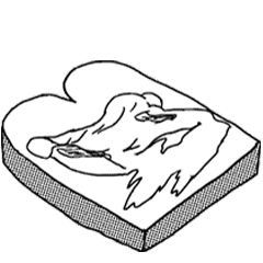 ヒカルくんのgifスタンプ Line スタンプ Line Store