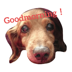 cherry_20220213135649