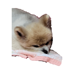 ry_20220212201936