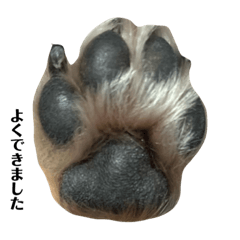 ai_20220213132006