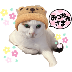 ikurachan27