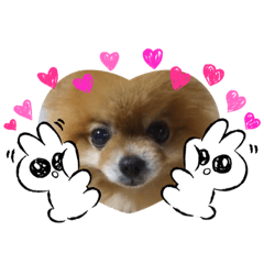 Riho_20220213145220