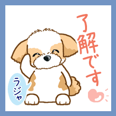 Daily of Shih Zuh Ver6(Moving5)REMAKE