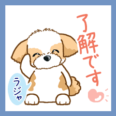 Shih Tzu シーズー Ver6(再販) - LINE スタンプ | LINE STORE Shih Tzu シーズー Ver6(再販) - LINE スタンプ | LINE STORE