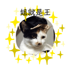 郭小喵的內心小劇場