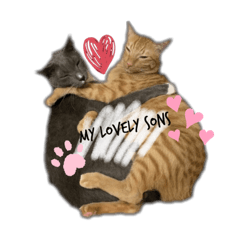Mochi & Muscle
