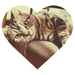 SHIHO_20220213111606