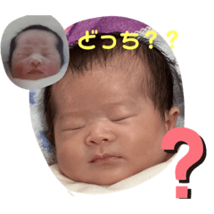miki_20220213163857