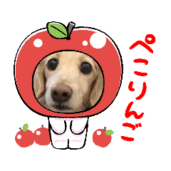 junko_20220213165552