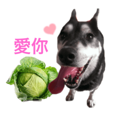游家阿妹