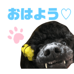 yuka_20220213180740