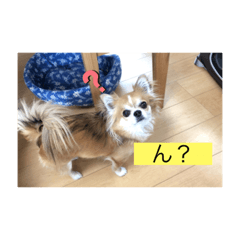 YUTO_20220213200143