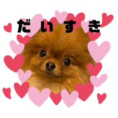 HIKARI_20220214011229