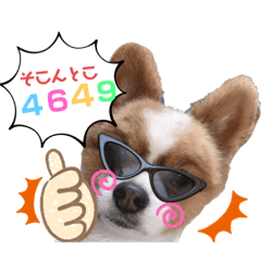c-no_20220214021241