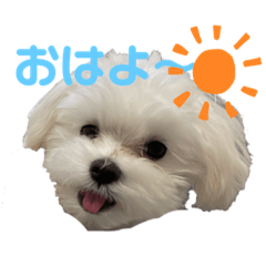 mashuuuu_20220214002235